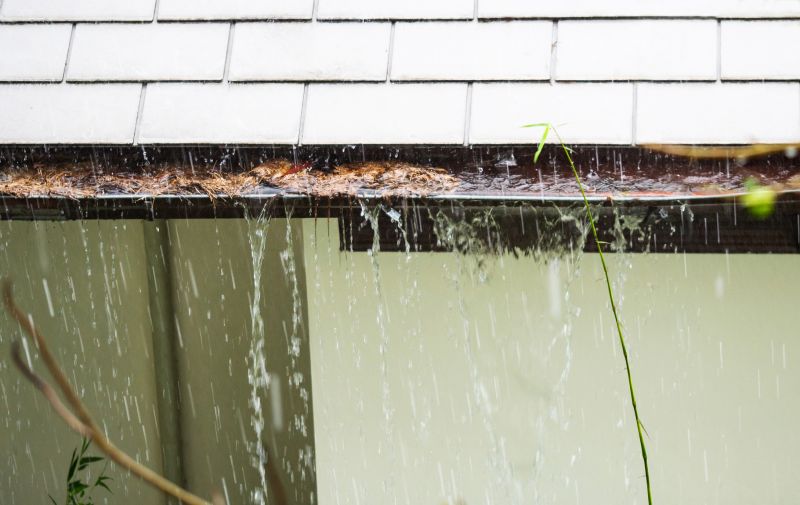 Clogged Gutter Blockages
